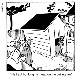 marmaduke
